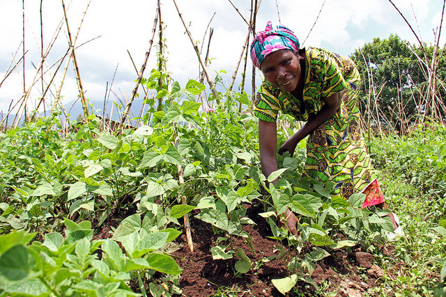 A woman farmer in Rwanda. (Credit: S.Malyon /CIAT)