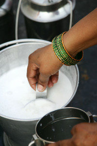 Urban dairy in Hyderabad India. (Photo credit: ILRI/S.Mann)