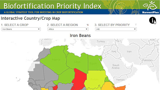 New interactive tool maps biofortification priorities