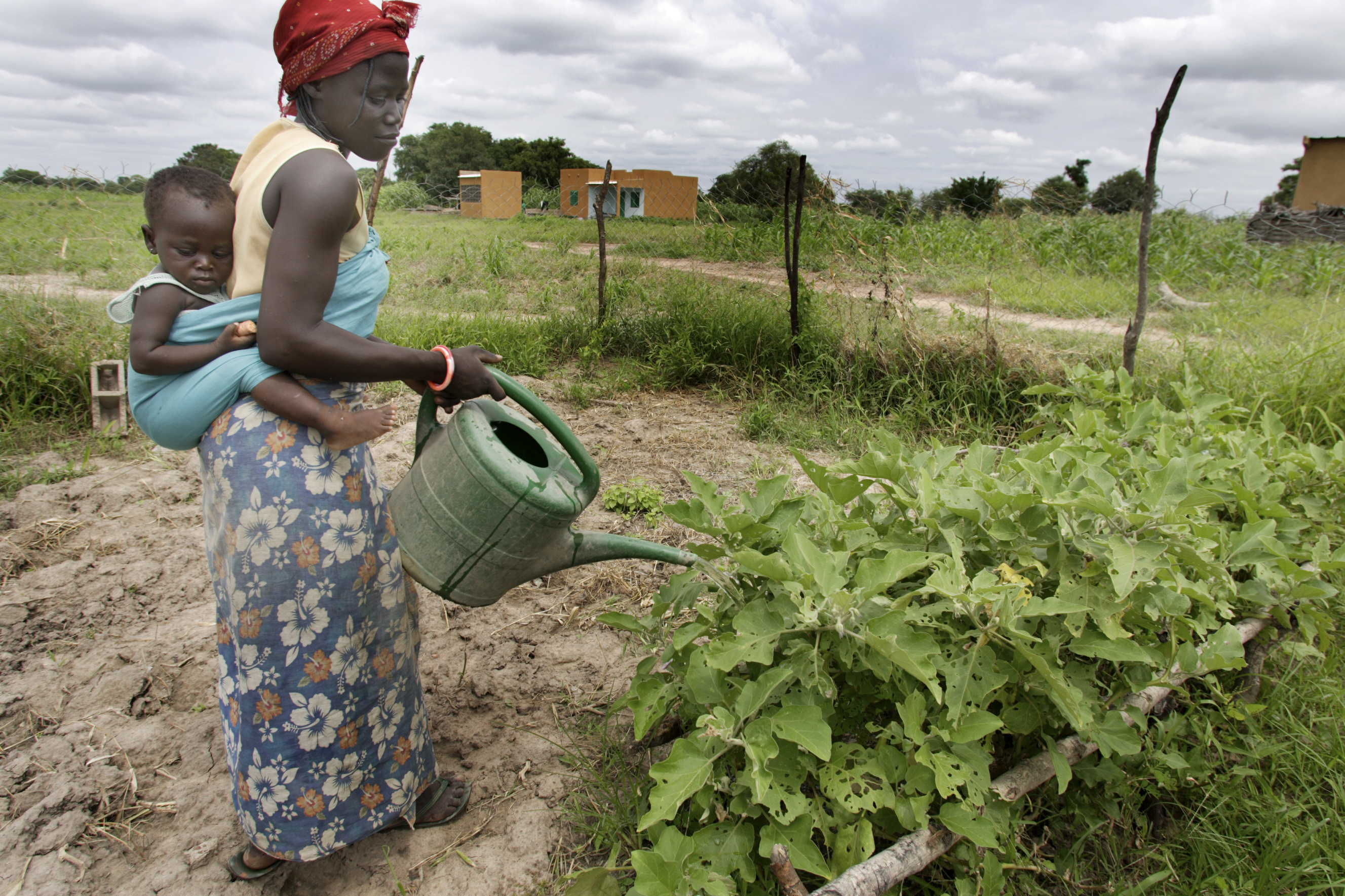 Gardening in Burkina Faso. Source: Flickr (George Blonsky/HKI)