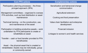 Actions of the WFP Food Assistance for Assets (FFA) program