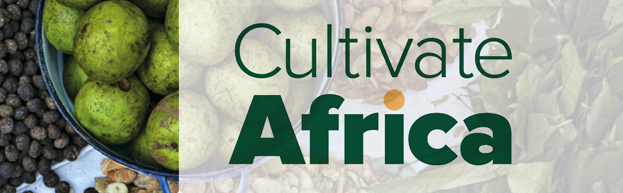 Developing a Pro-Equity Nutrition Policy Agenda for Africa
